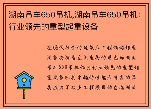湖南吊车650吊机,湖南吊车650吊机：行业领先的重型起重设备